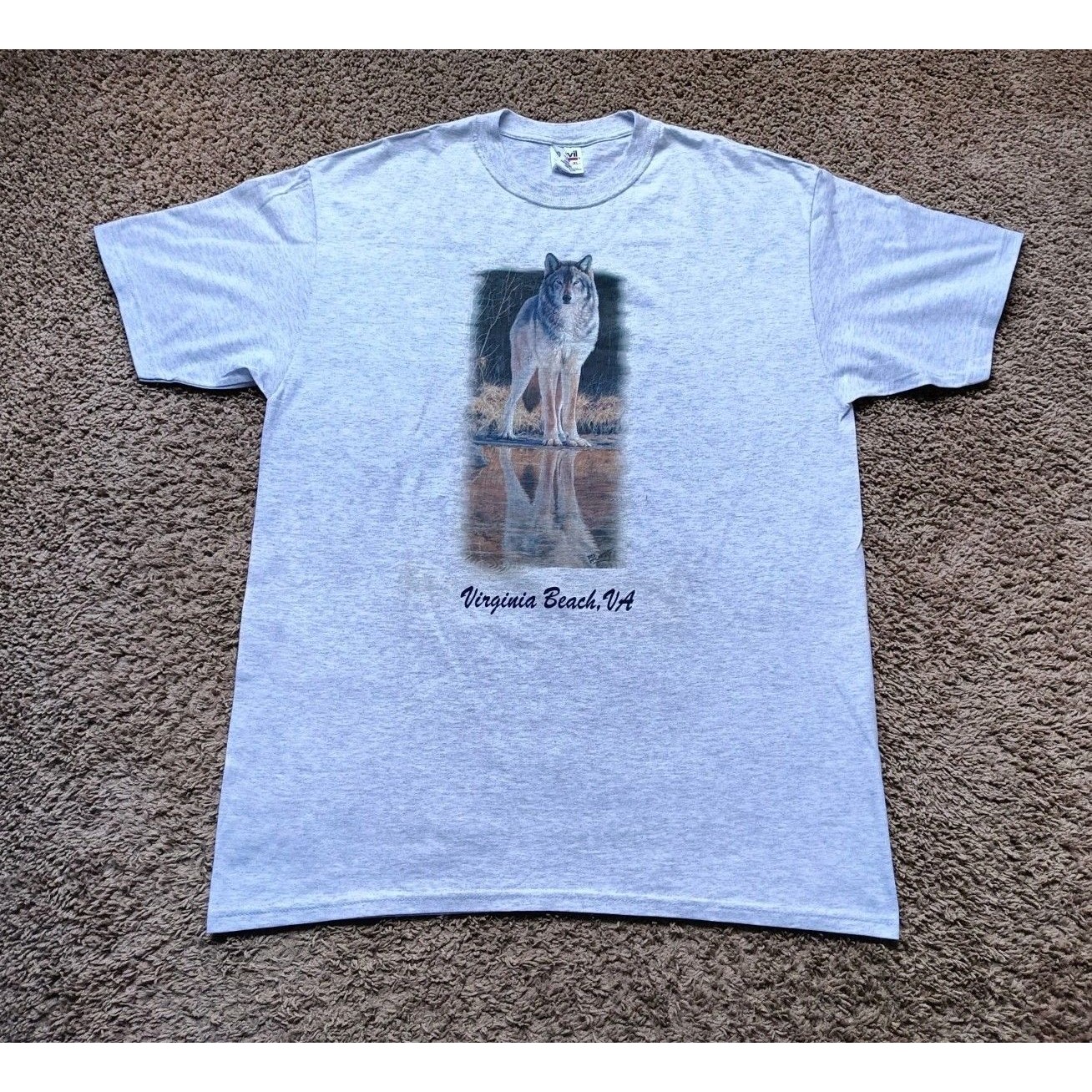 Vintage Virginia Beach Zoo T-Shirt Men's Size Xl Graphic Print Gray Shirt